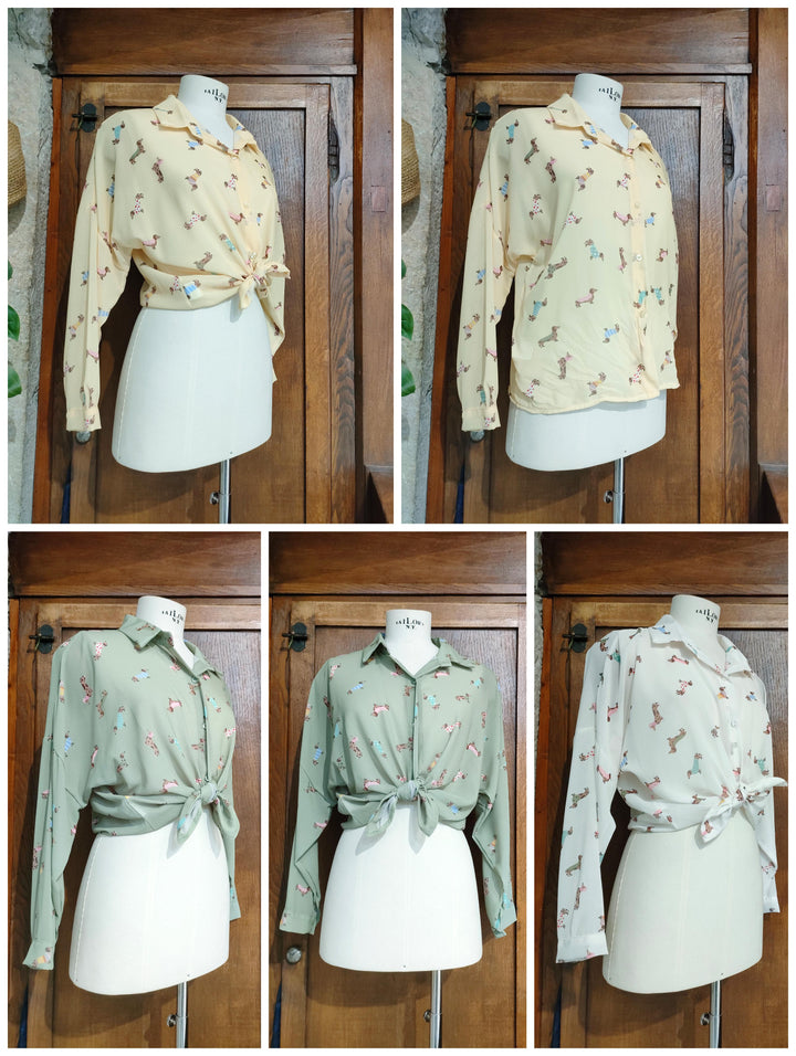 Blusa