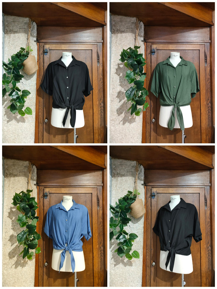 Blusa
