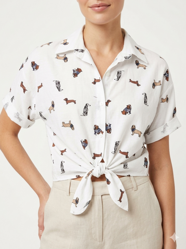 Blusa