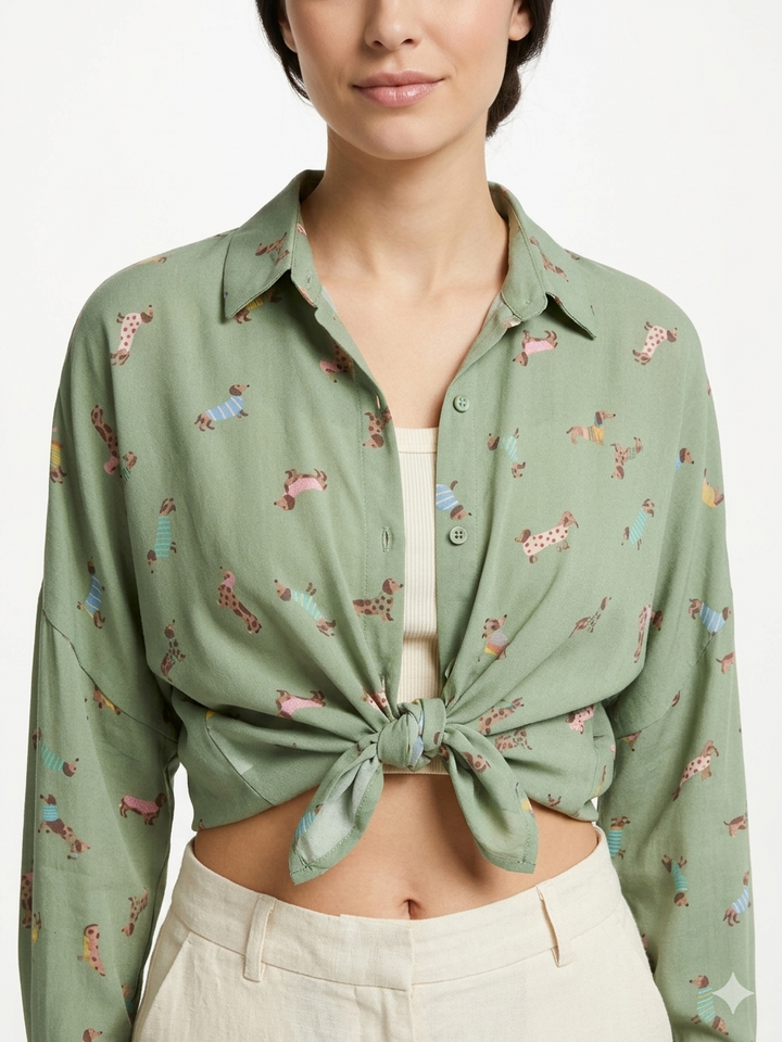 Blusa